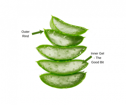 What is Aloe Vera? | AVD Wellness